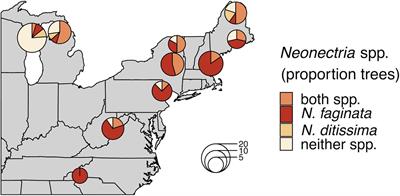 Pathogen and Endophyte Assemblages Co-vary With Beech Bark Disease Progression, Tree Decline, and Regional Climate